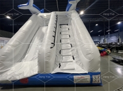 Cheap Price Commercial Waterslide Dolphin Inflatable Water Slide for Inground Pool