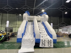 Cheap Price Commercial Waterslide Dolphin Inflatable Water Slide for Inground Pool