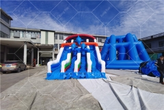 Dolphin Inflatable Pool Slides For Inground Pools