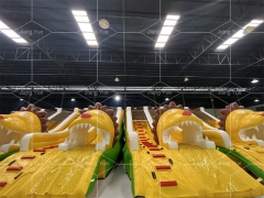 New Style Factory Sale Giant Tiger Inflatable Water Pool Slide for Kids and Adult