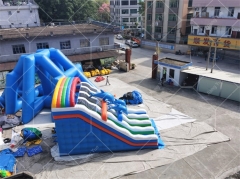 Dolphin Inflatable Pool Slides For Inground Pools