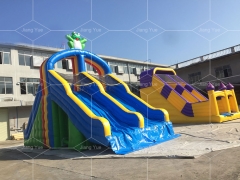 Mini Size Frog Inflatable Pool Slide for Inground Swimming Pools