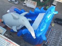 Giant Gone Fishing Shark Slide Inflatable